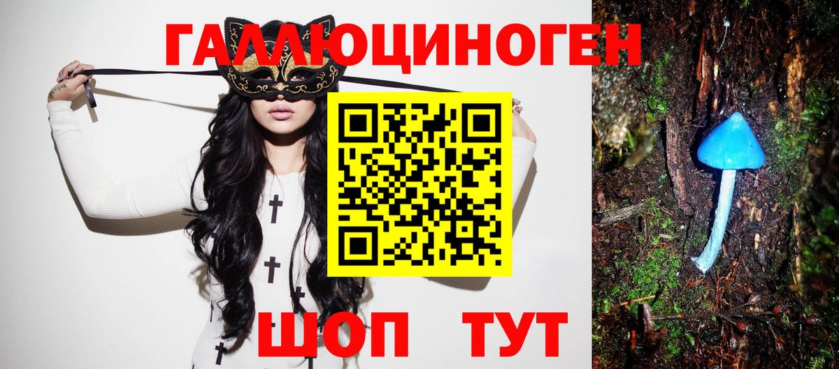 Богданович  Галлюциногенные грибы GOLDEN TEACHER  Вход с VPN 