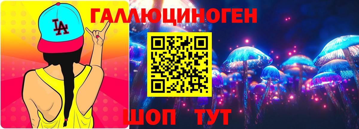 Псилоцибиновые грибы GOLDEN TEACHER Богданович
